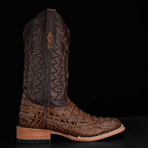 Honey Caiman Neck - Square Toe - Image 2