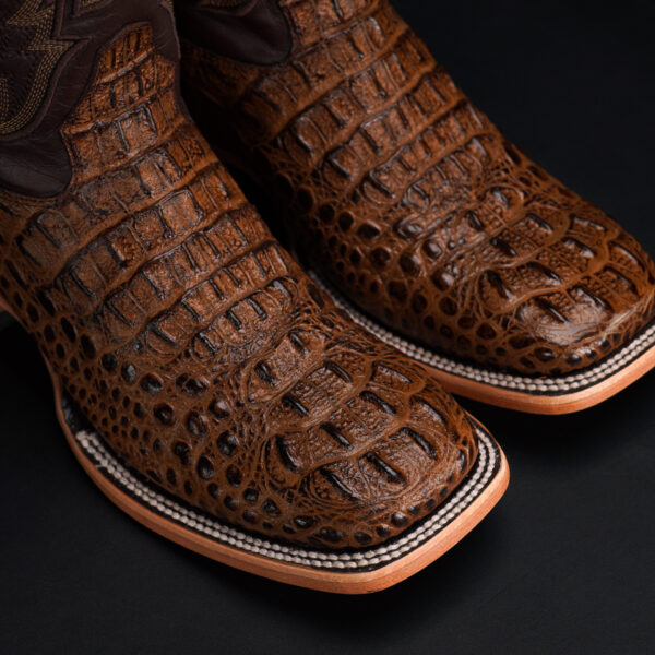 Honey Caiman Neck - Square Toe - Image 3
