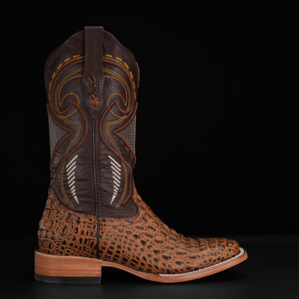 Honey Caiman Horn Back- Square Toe - Image 2