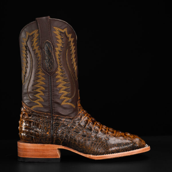 Honey Caiman Neck – Square Toe - Image 2