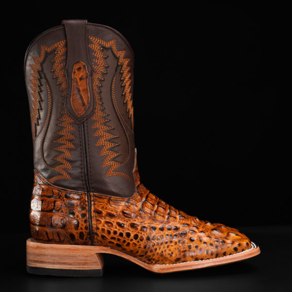 Honey Caiman Neck – Square Toe - Image 2