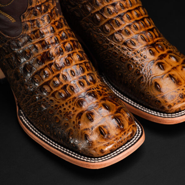 Honey Caiman Neck – Square Toe - Image 3