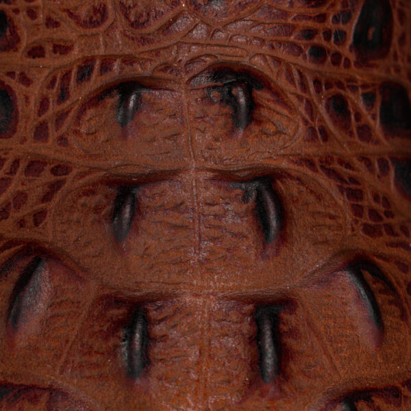 Matte Cognac Caiman Neck - Square Toe - Image 4