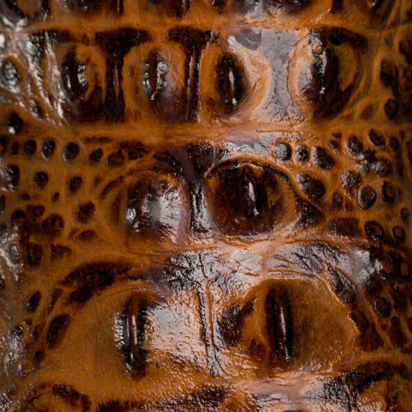 Honey Caiman Neck – Square Toe - Image 4