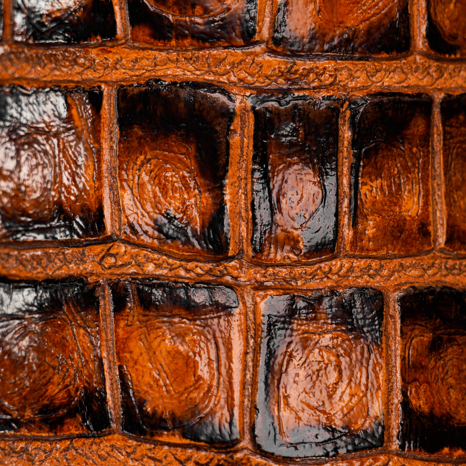 Cognac Alligator Belly - Square Toe - Image 5