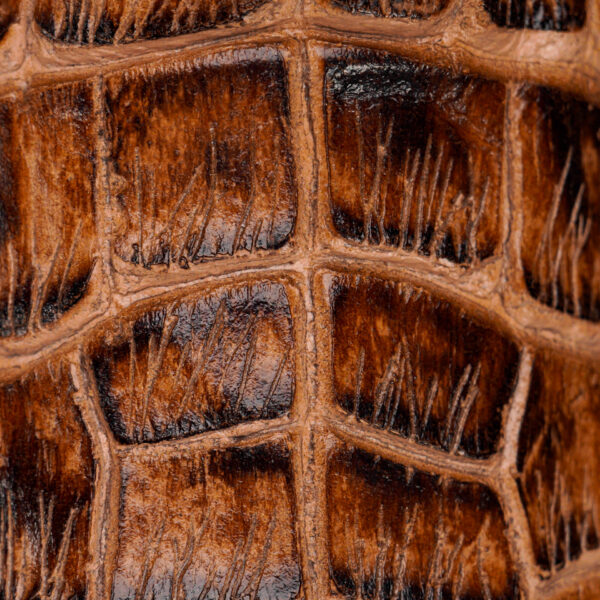 Orix Alligator Belly - Square Toe - Image 4