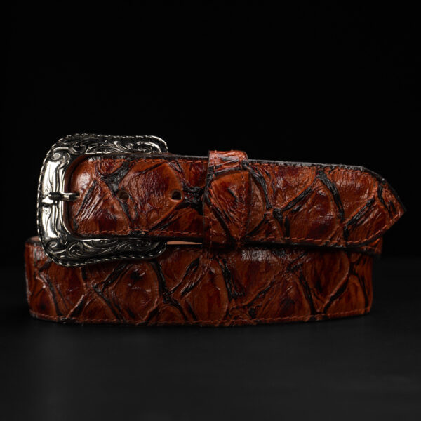 Cognac Fish Pirarucu Belt