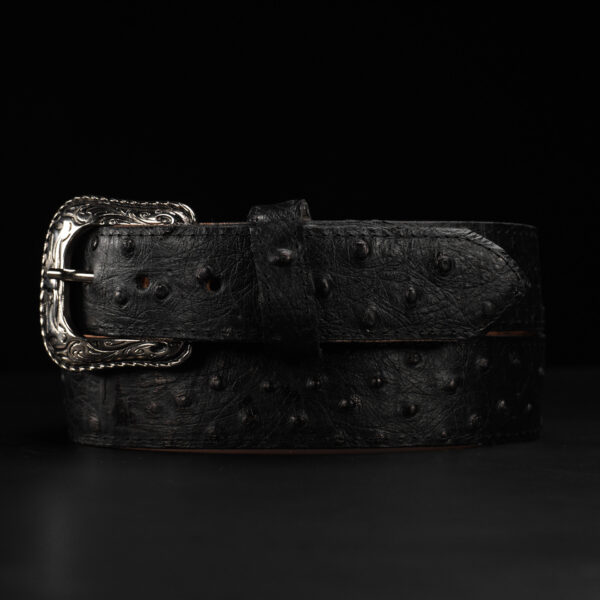 Black Ostrich Belt