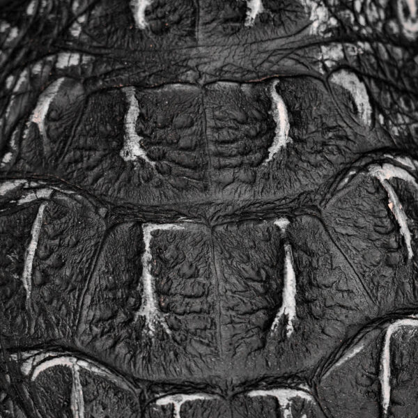Rustic Black Caiman Neck - Square Toe - Image 4