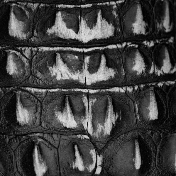 Rustic Black Caiman Horn Back – Square Toe - Image 4
