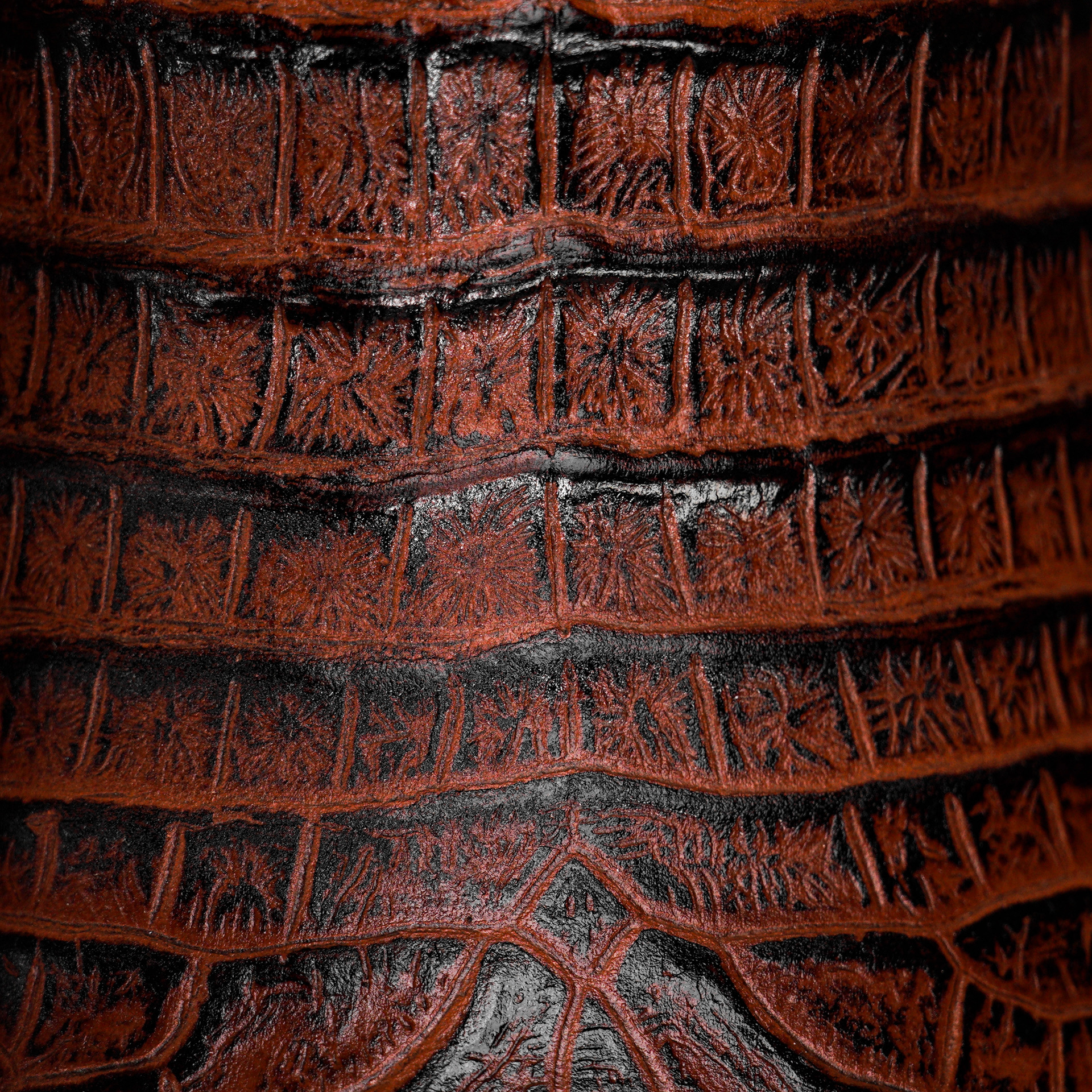 Cognac Caiman Belly - Square Toe - Image 4