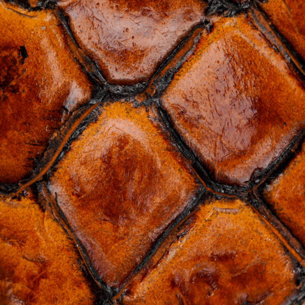 Honey Fish Scale – Square Toe - Image 4