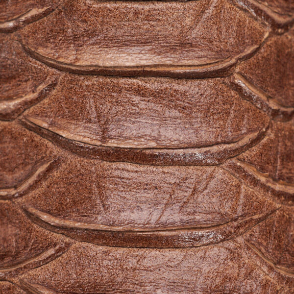 Orix Python – Square Toe - Image 4