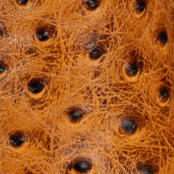 Honey Ostrich – Square Toe - Image 4