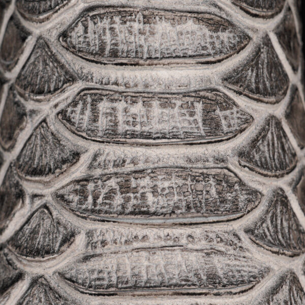 Natural Python – Square Toe - Image 3