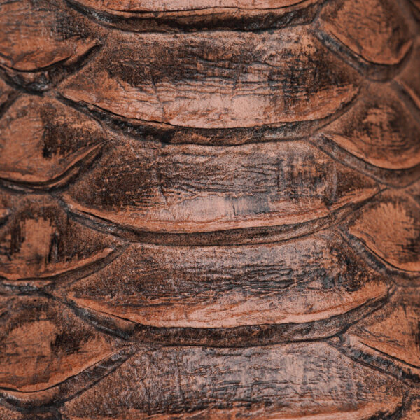 Orix Python – Square Toe - Image 4