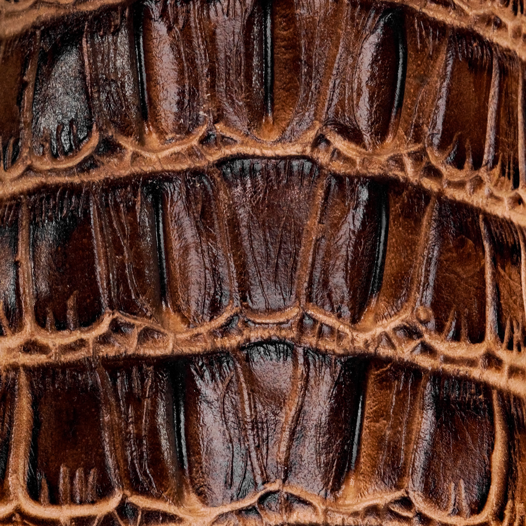 Orix Caiman Tail - Square Toe - Image 4