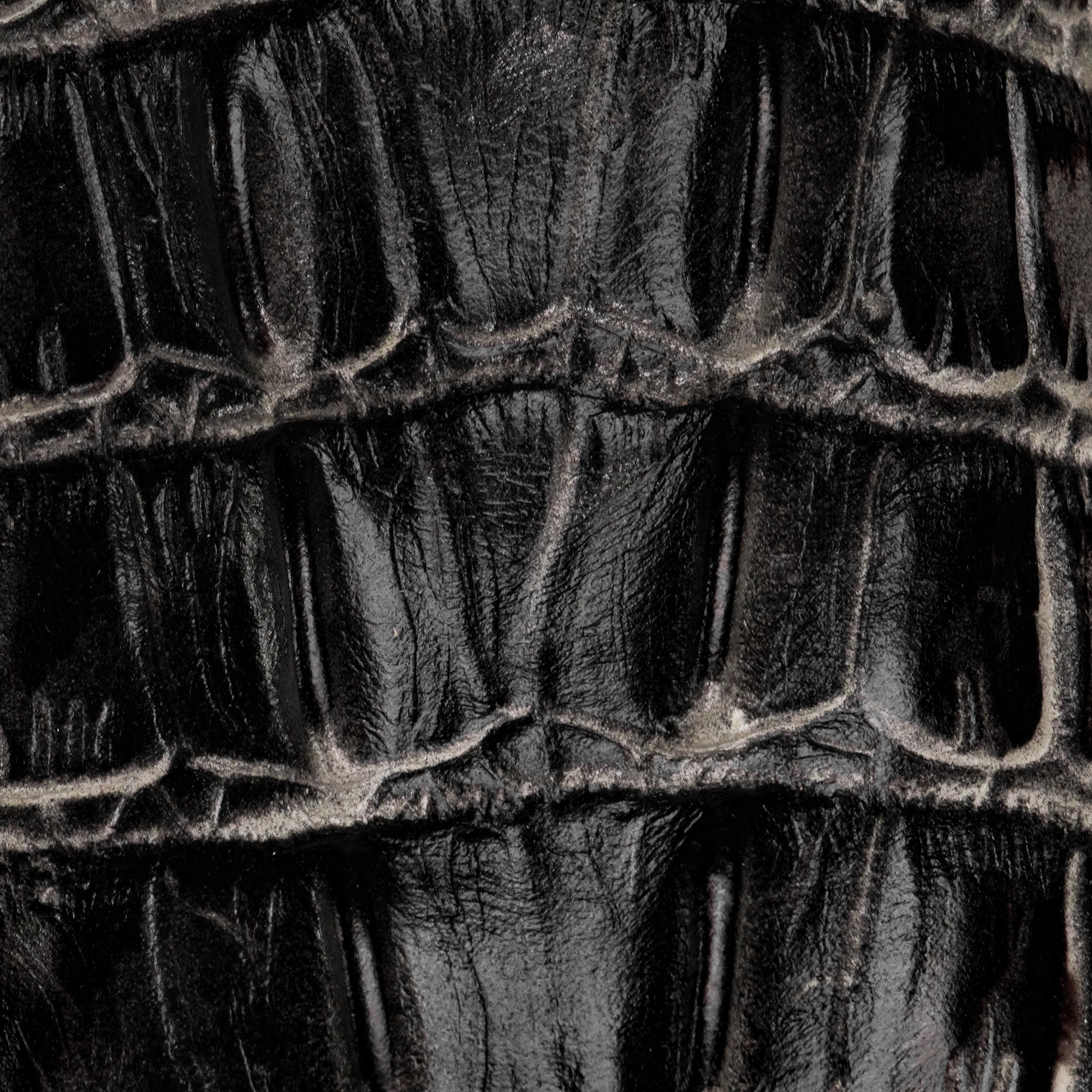 Gray Caiman Tail - Square Toe - Image 4