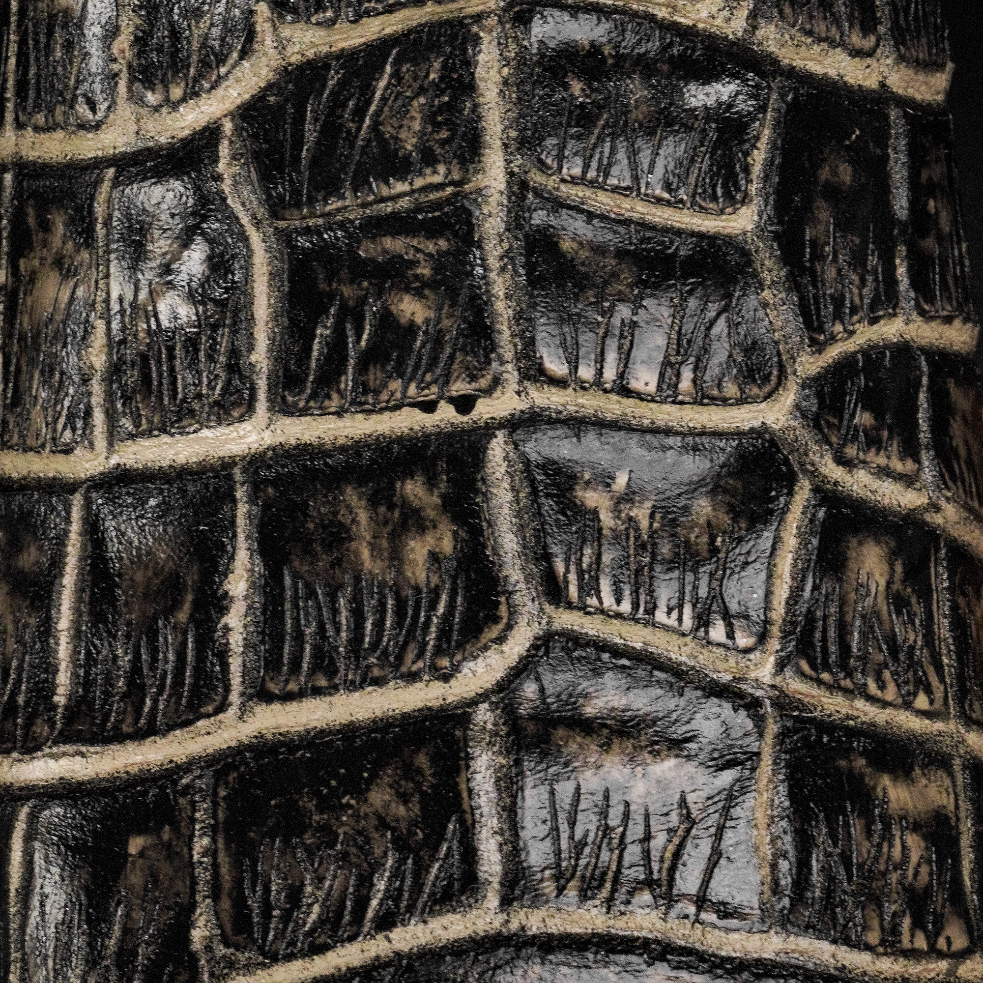 Rustic Black Alligator Belly - Square Toe - Image 4