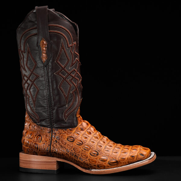 Honey Caiman Horn Back- Square Toe - Image 2
