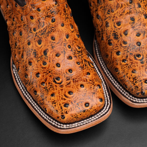 Honey Ostrich – Square Toe - Image 3