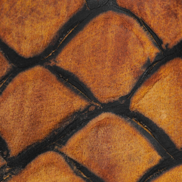 Honey Fish Scale – Square Toe - Image 4