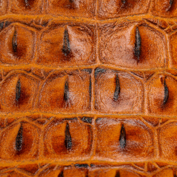 Honey Caiman Horn Back- Square Toe - Image 4