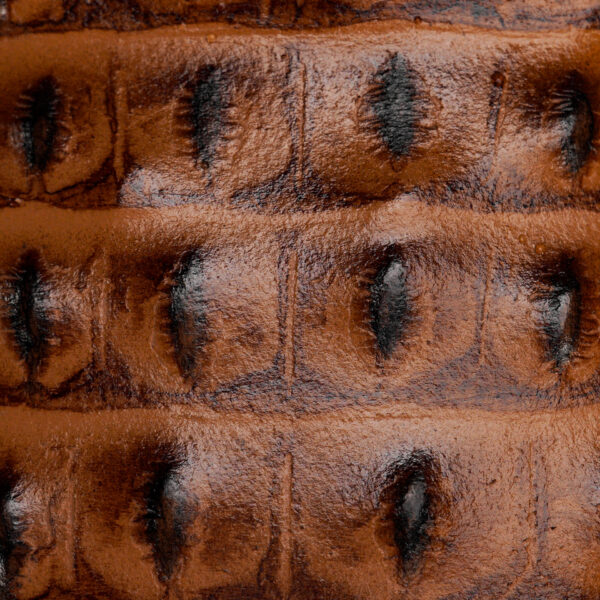 Honey Caiman Horn Back- Square Toe - Image 4