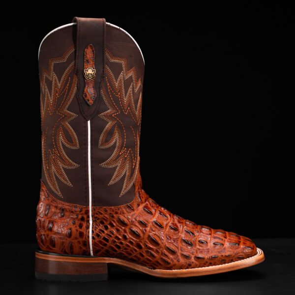Cognac Caiman Horn Back – Square Toe - Image 2