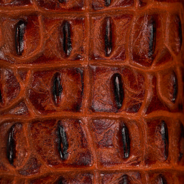 Cognac Caiman Horn Back – Square Toe - Image 4