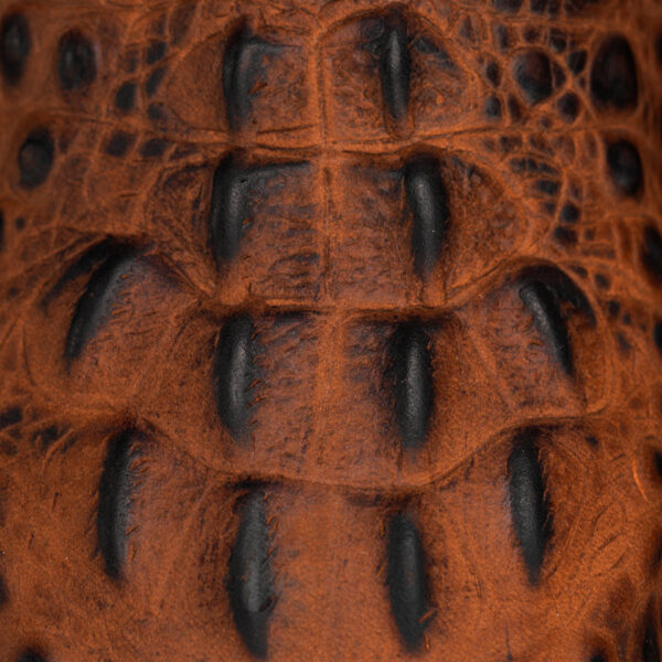Matte Honey Caiman Neck - Square Toe - Image 4