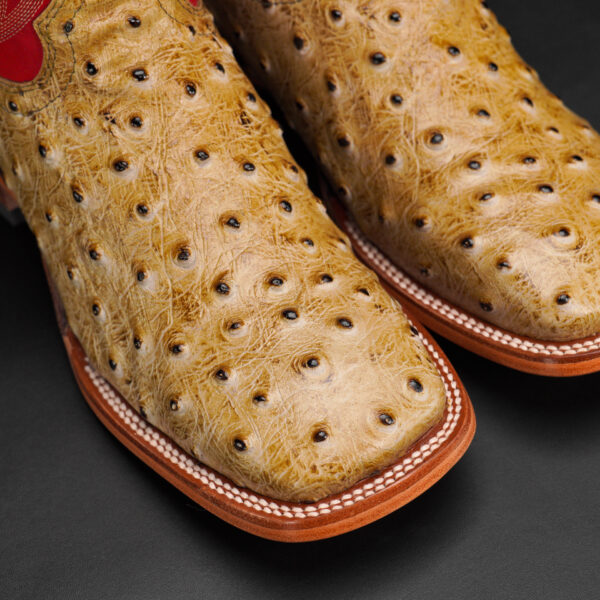 Orix Ostrich – Square Toe - Image 3