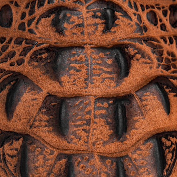 Matte Honey Caiman Neck – Square Toe - Image 4