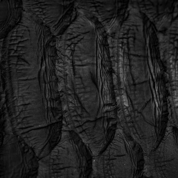 Black Giant Python Wallet - Image 2