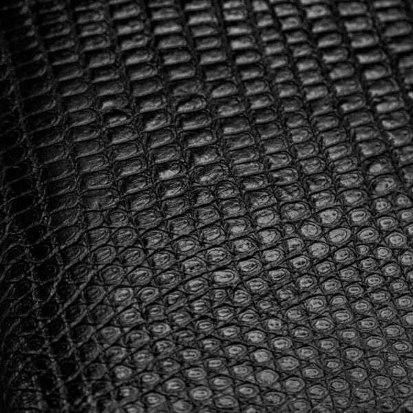 Black Lizard Wallet - Image 2