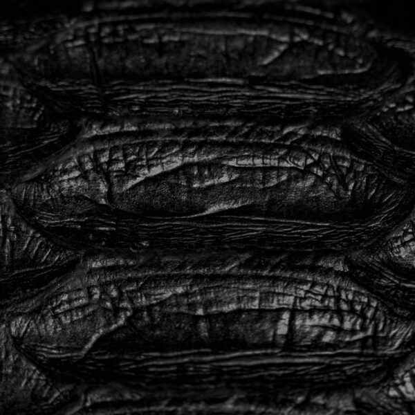 Black Giant Python Wallet - Image 2
