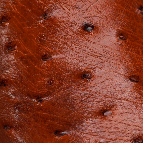 AUTHENTIC Cognac Ostrich – Square Toe - Image 4