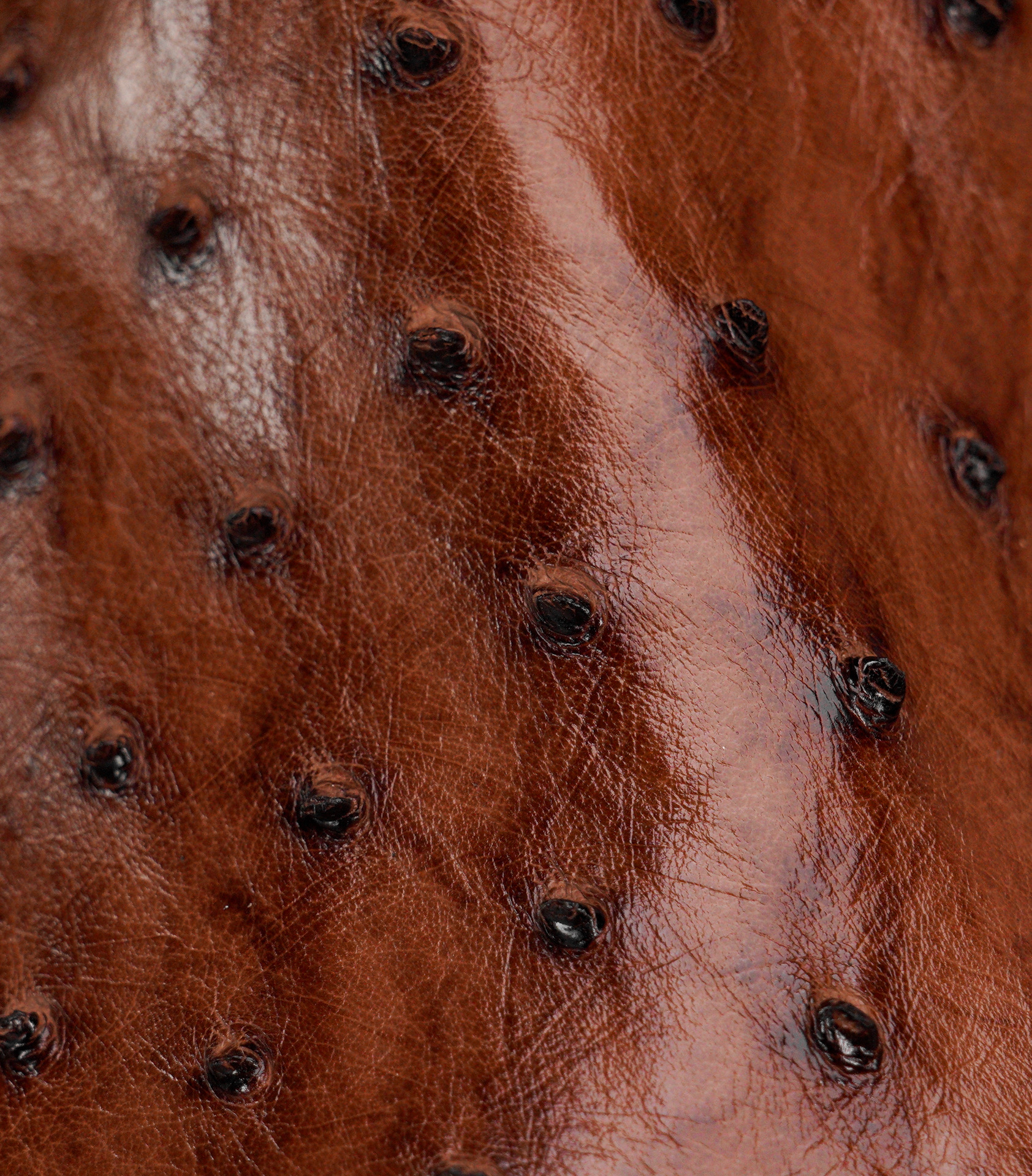 Genuine Brown Full Quill Ostrich - Square Toe (FREE Belt & Wallet) - Image 4