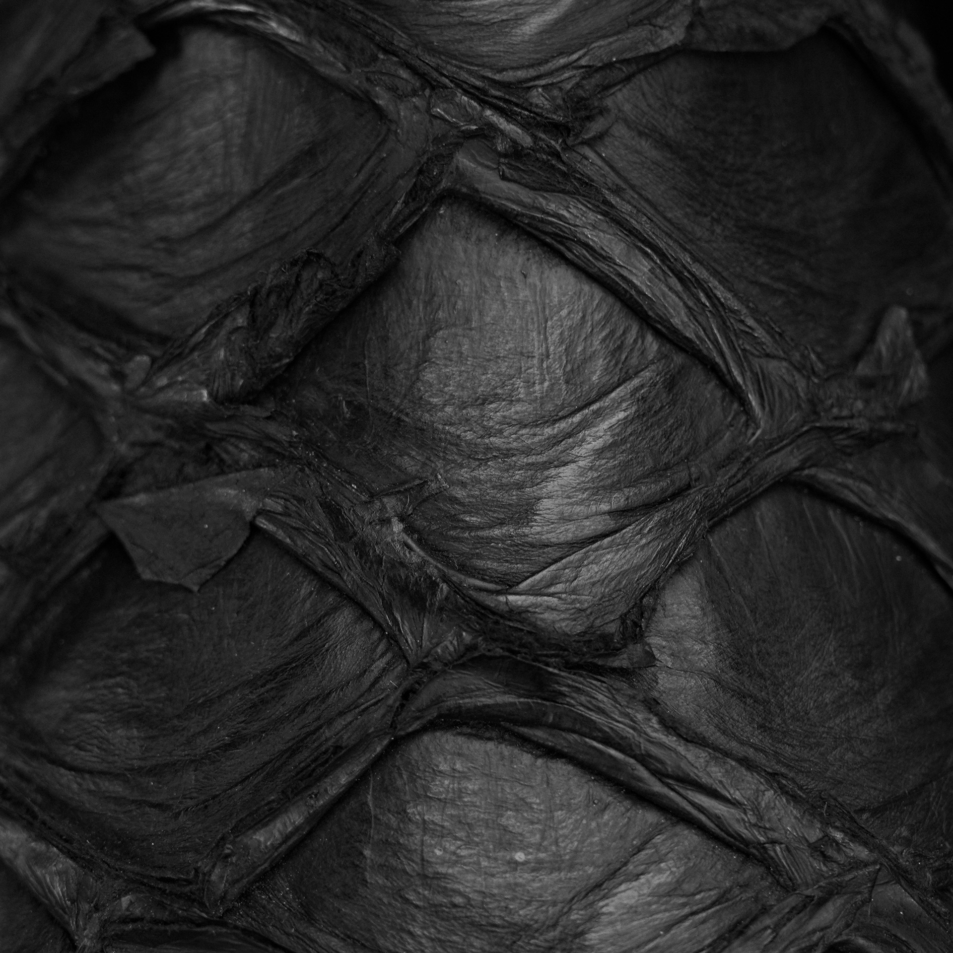 Genuine Black Pirarucu - Square Toe (FREE Belt) - Image 5