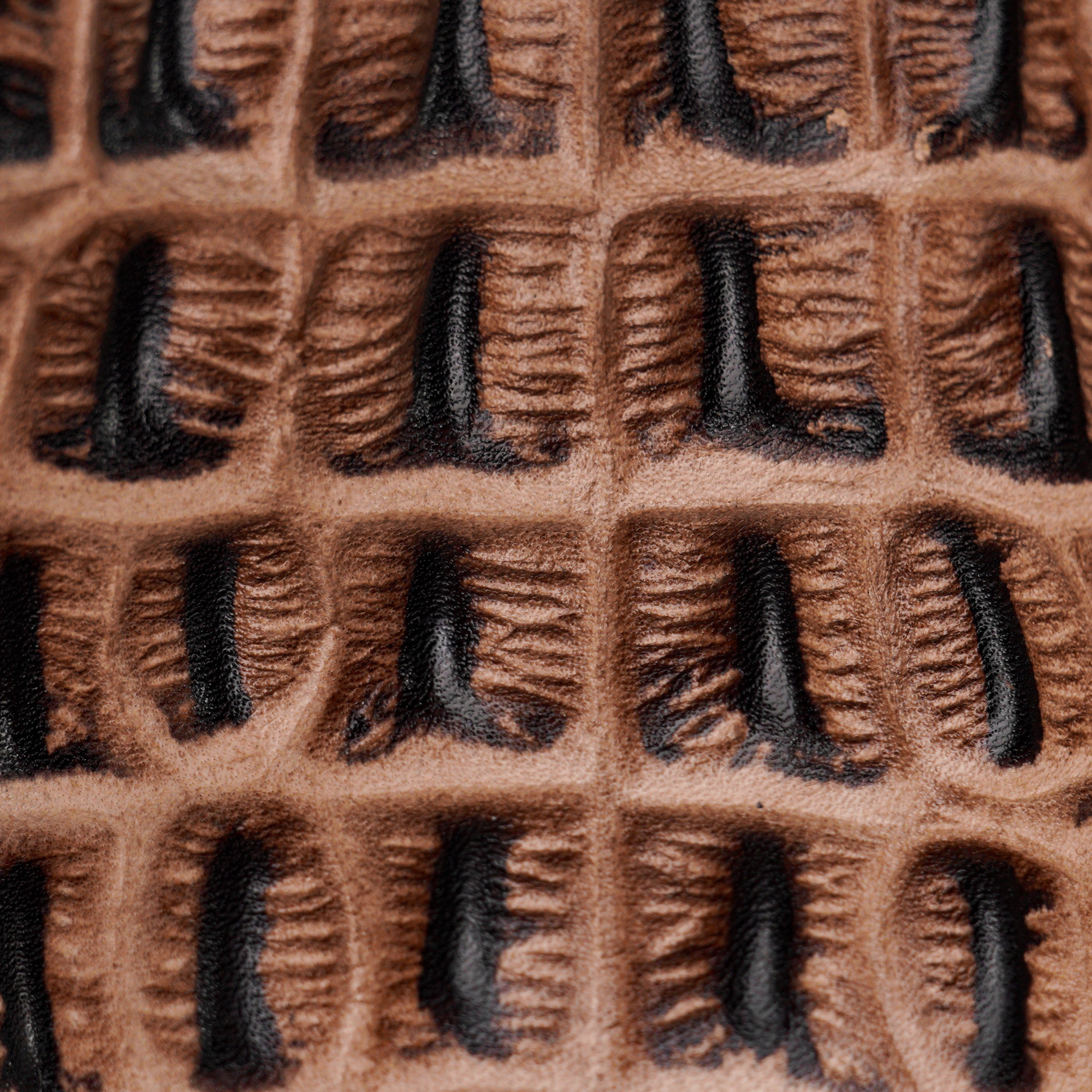 Desert Caiman Horn Back - Square Toe - Image 4
