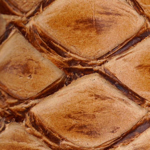 Orix Pirarucu – Square Toe - Image 3
