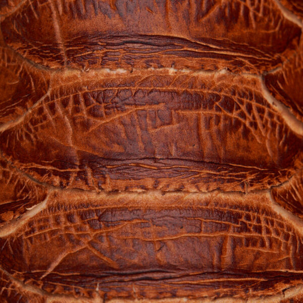 Taupe Giant Python – Square Toe - Image 3