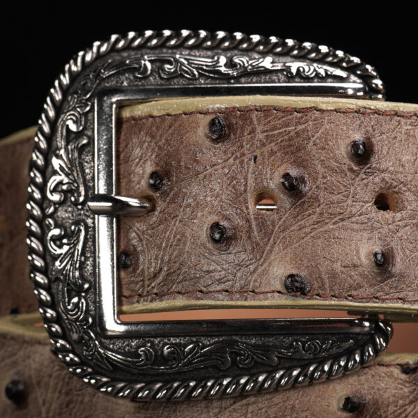Orix Ostrich Belt - Image 2