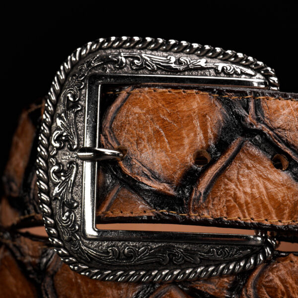Orix Fish Pirarucu Belt - Image 2