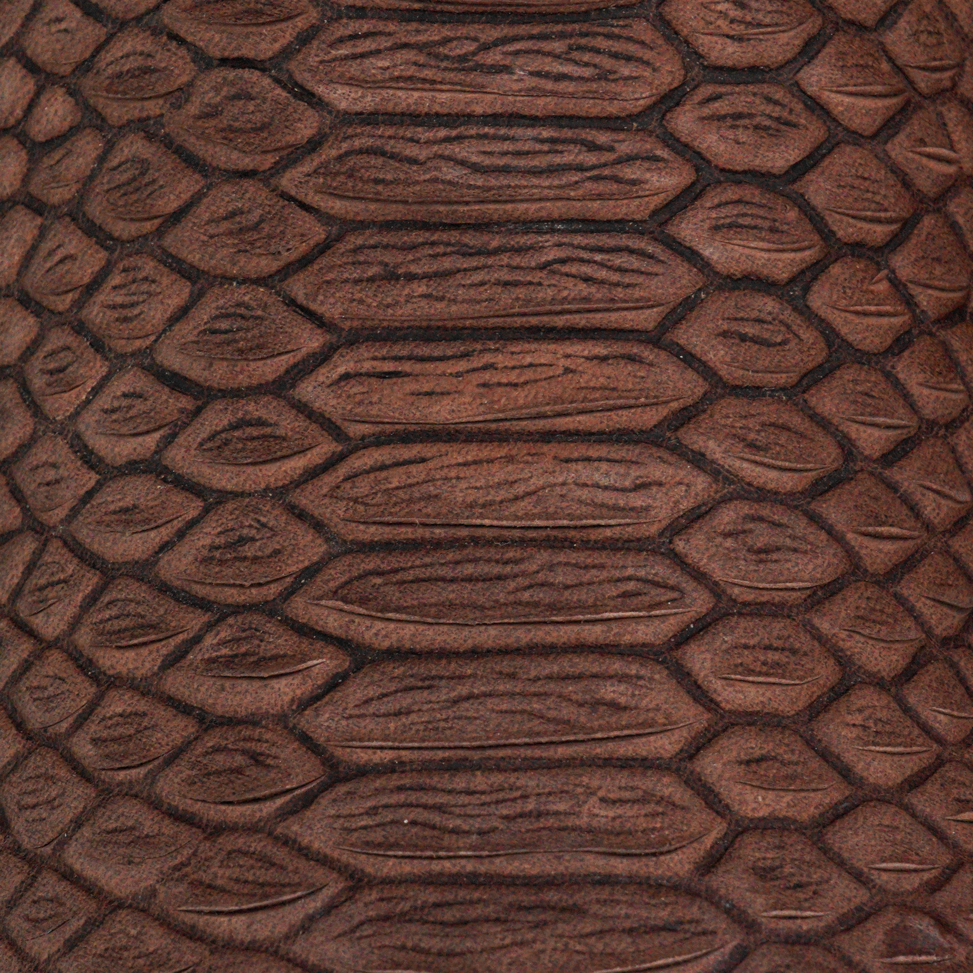 Matte Brown Python – Square Toe - Image 4