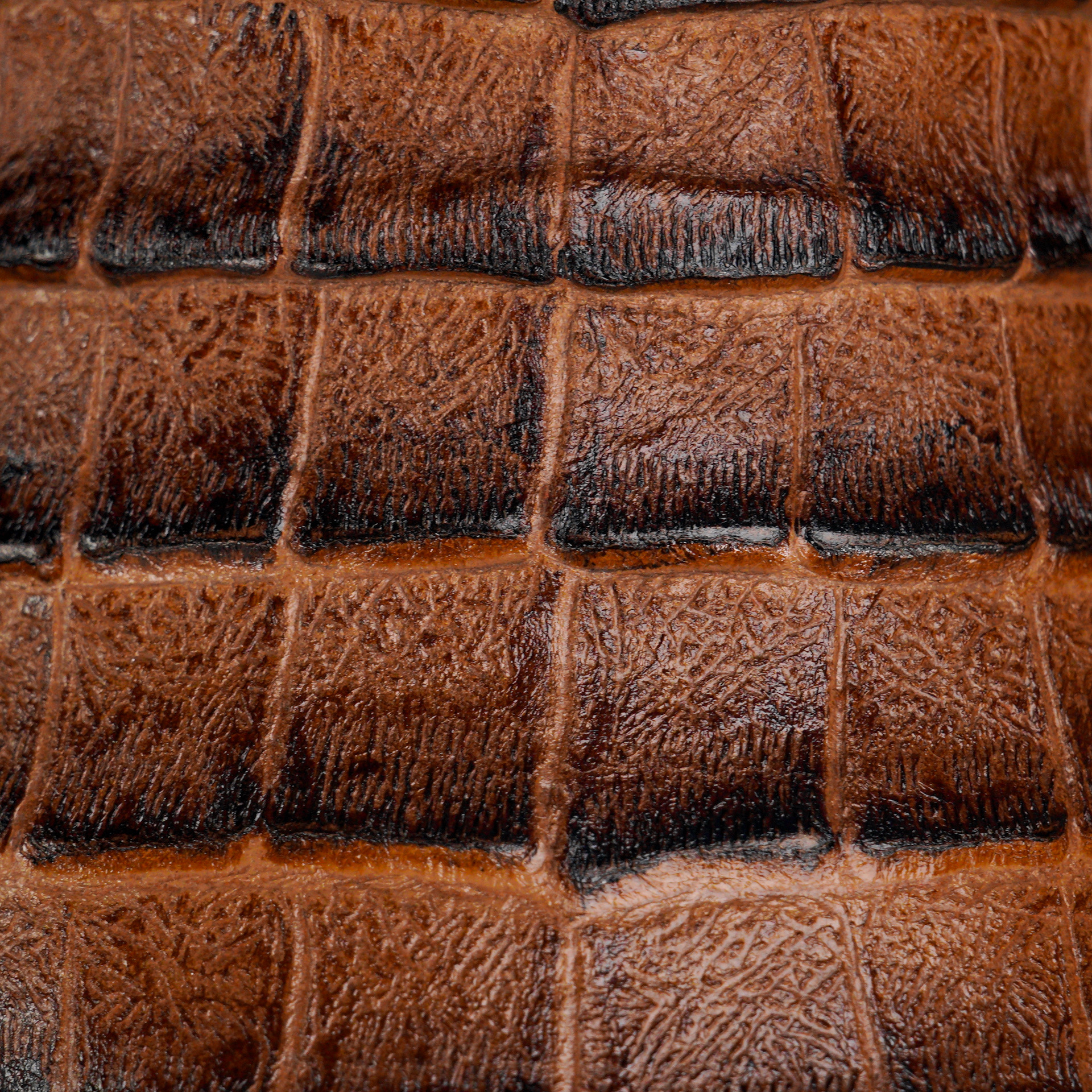 Honey Caiman Belly - Square Toe - Image 4