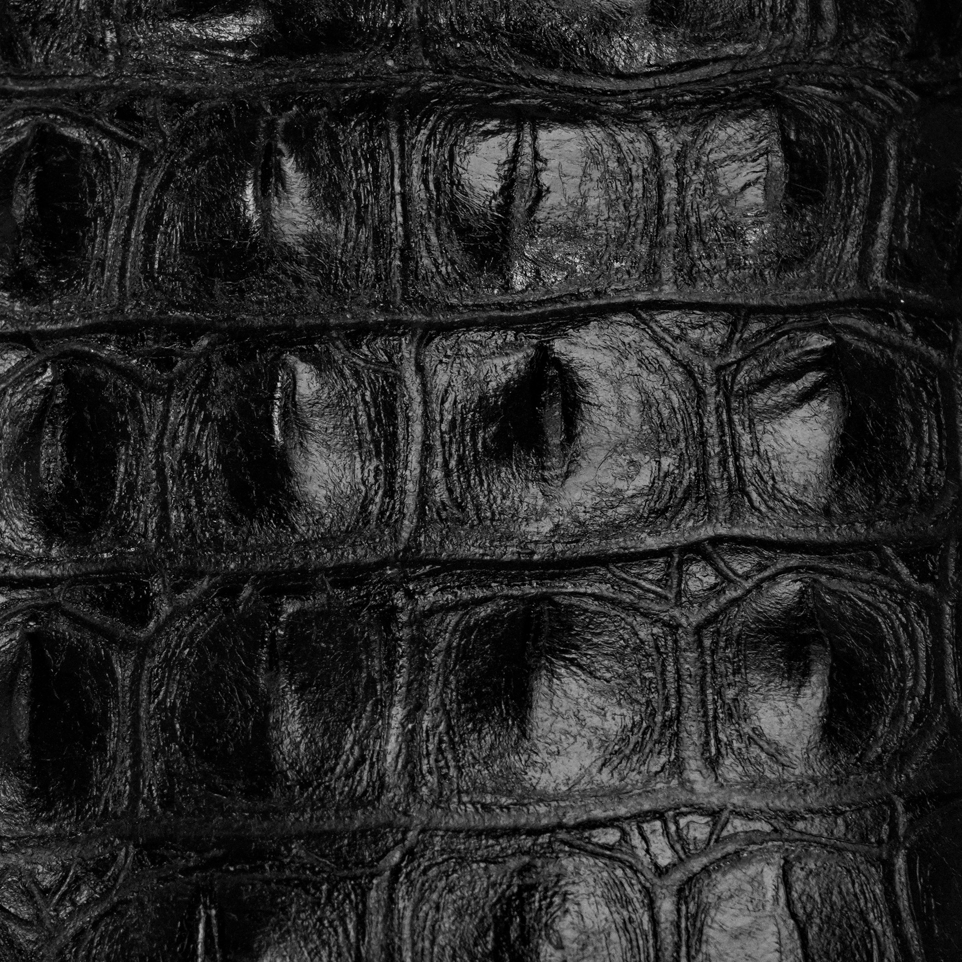 Black Caiman Horn Back - Square Toe - Image 4