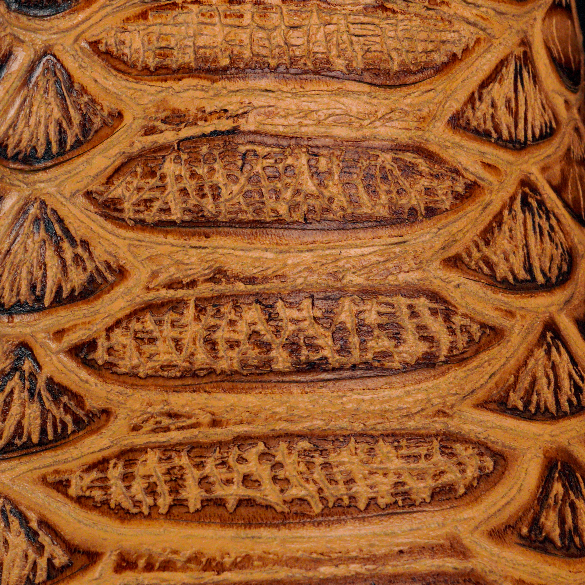 Honey Python - Square Toe - Image 4