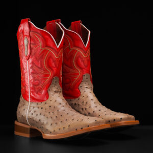 Matte Bone Caiman Neck - Square Toe