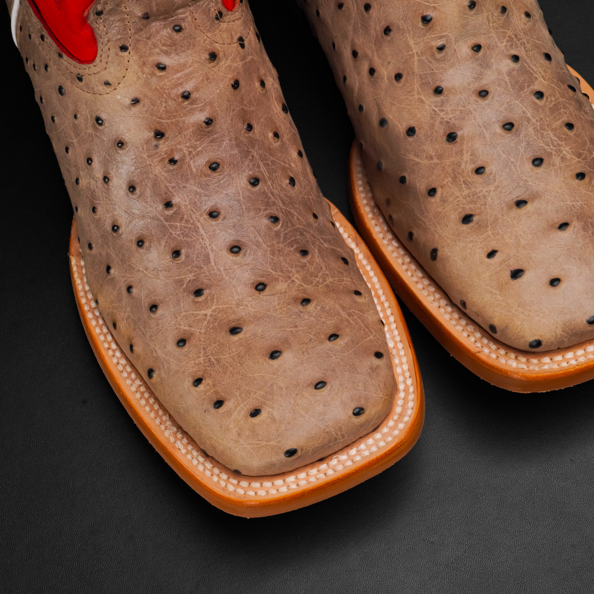 Matte Bone Caiman Neck - Square Toe - Image 3